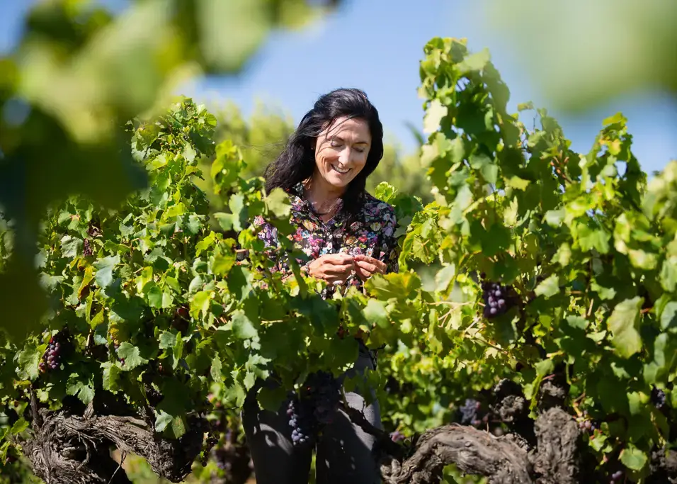 Audrey Formosa oenologue conseil indépendante en visite de cave pour optimiser la vinification