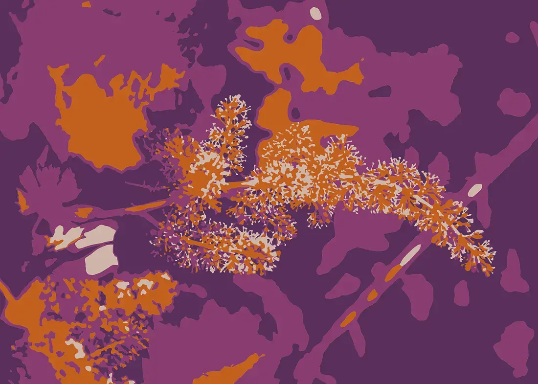 Conseil en viticulture, soin de la vigne et oenologie pour améliorer la qualité du raisin.